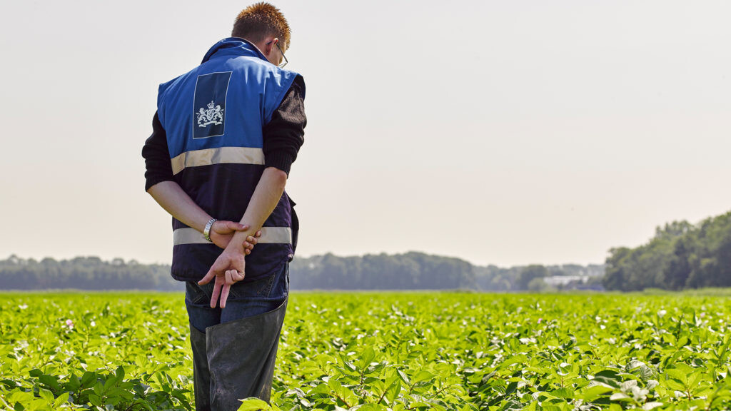 field inspection